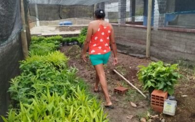 Transparência e Ação: APIBRASIL e Projeto Casa