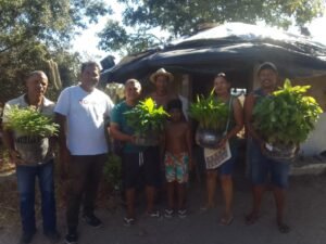 doação de mudas Fulni-ô Águas Belas