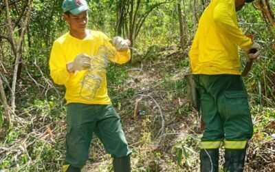 Recuperação das Nascentes do Córrego do Ouro: Ação com Fundo Casa e Brigada Federal Indígena