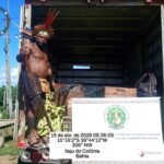 1ª Colheita 2026 para entrega no PAA com apoio do Fundo Casa