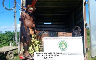 1ª Colheita 2026 para entrega no PAA com apoio do Fundo Casa